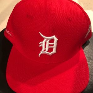 Detroit Red Wings/Tigers hat. New and unworn